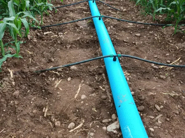 impianti irrigazione goccia (7)