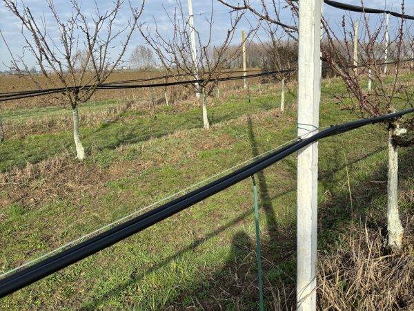 impianti irrigazione pioggia (1)