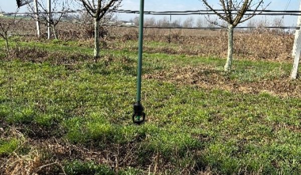 irrigazione micro
